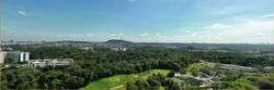 Pinetree Hill (D21), Condominium #566596511